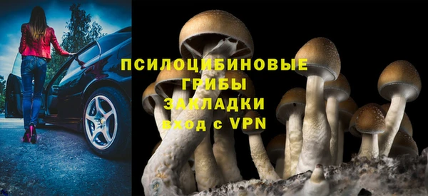 амф Алзамай