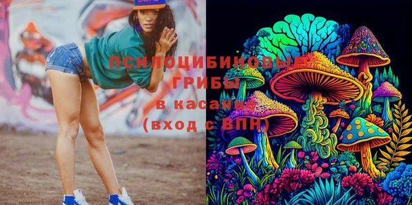 амф Алзамай